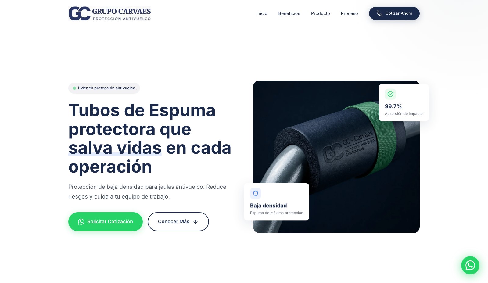 Grupo Carvaes - Vista principal del sitio web