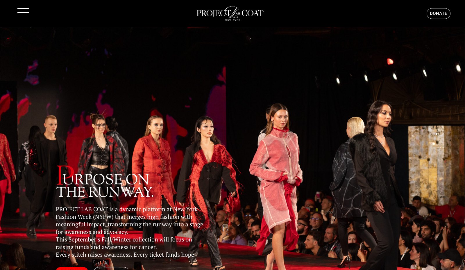 Project Lab Coat - Vista principal del sitio